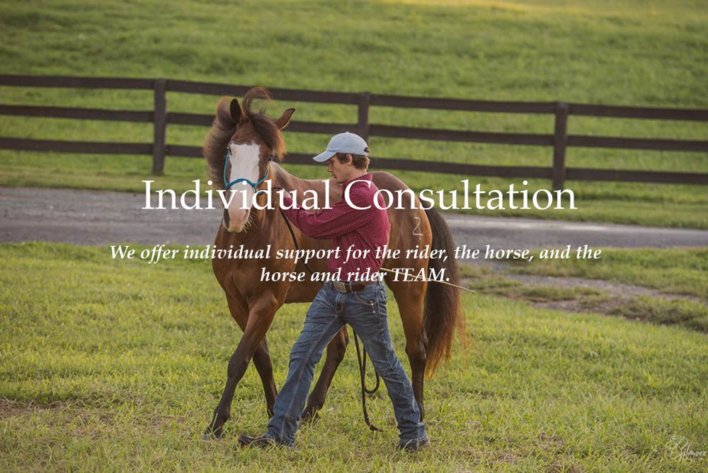 Individual Consultation for Equestrians & Horses Riding Far LLC