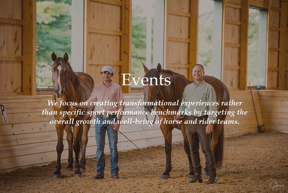 Equestrians standing with brown horses inside a stable.