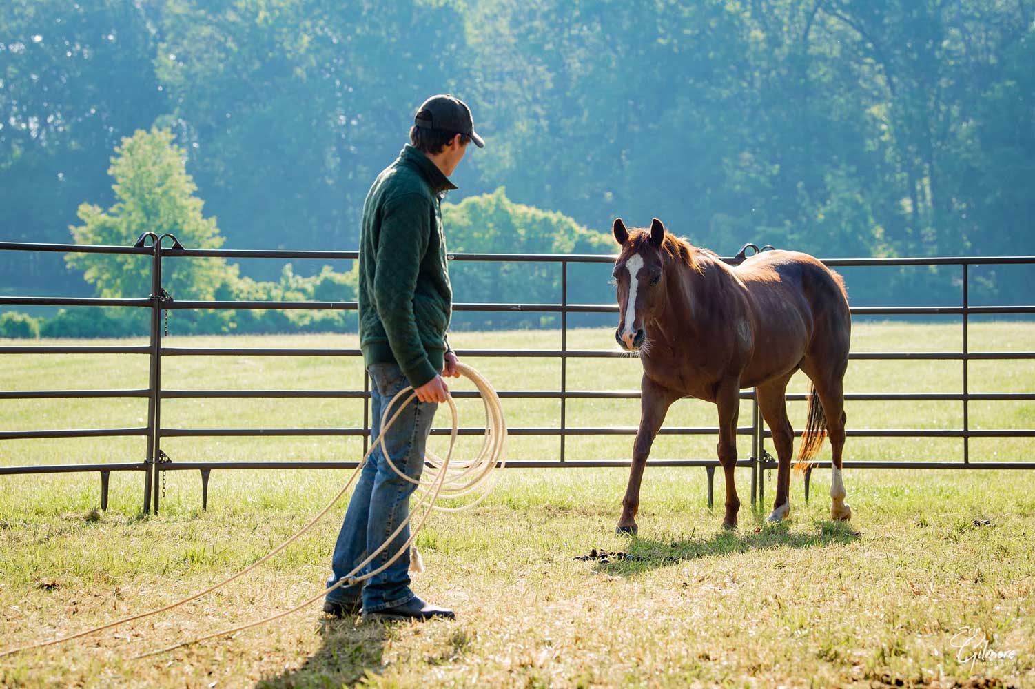 Justin Haefner training horse