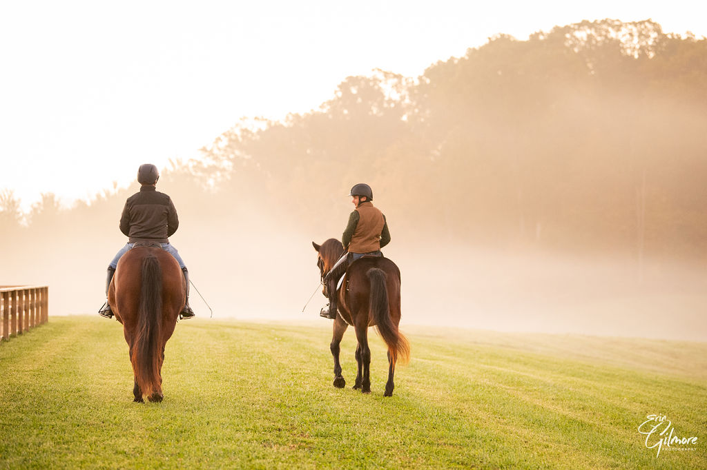 Transformational Experiences for Equestrians and Horses - Riding Far LLC